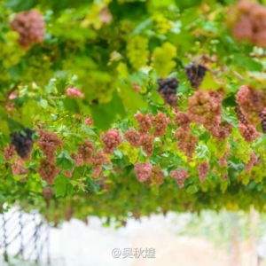 中国丹霞,灵秀泰宁