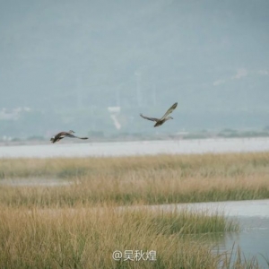 漳州云霄旅行攻略