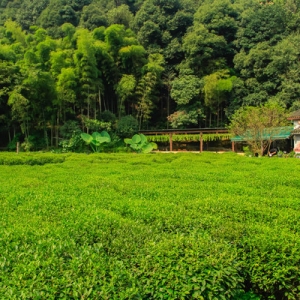 一路旅行的回忆