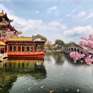 邂逅金秋岭南—宝墨园